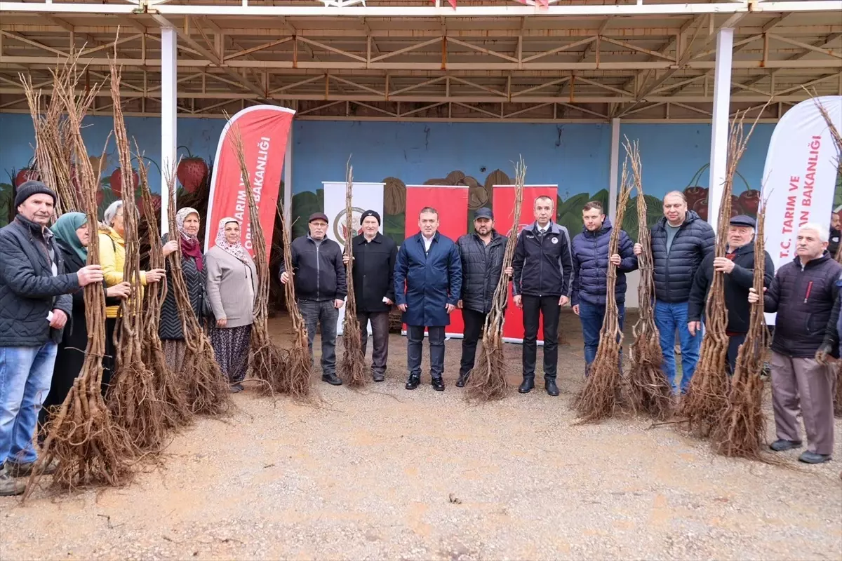 Bilecik'te "Meyveciliği Geliştirme Projesi" kapsamında çiftçiliere fidan dağıtıldı