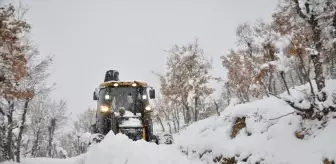 Bitlis'te kar nedeniyle yolu kapanan mezrada mahsur kalan besicilerin yardımına ekipler yetişti