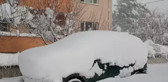 Bolu ve Düzce'de kar yağışı etkili oluyor