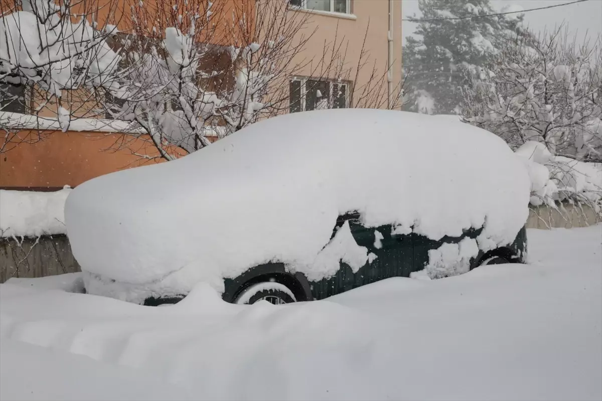 Bolu ve Düzce'de kar yağışı etkili oluyor
