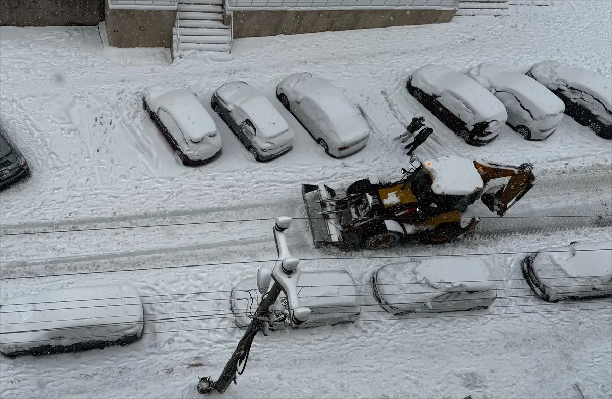 Elazığ, Bingöl, Siirt, Şırnak ve Mardin'de 770 yerleşim yerine ulaşım sağlanamıyor