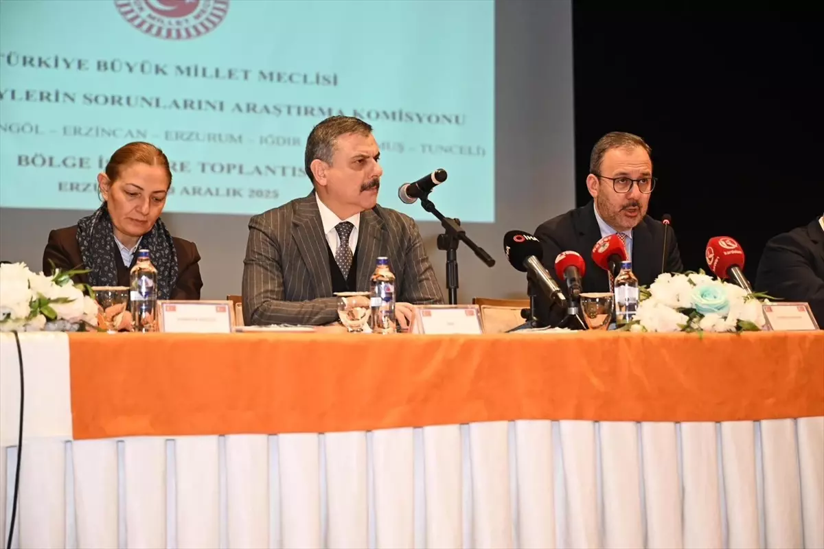 Erzurum'da TBMM Engelli Bireylerin Sorunlarını Araştırma Komisyonu, Bölge İstişare Toplantısı düzenledi