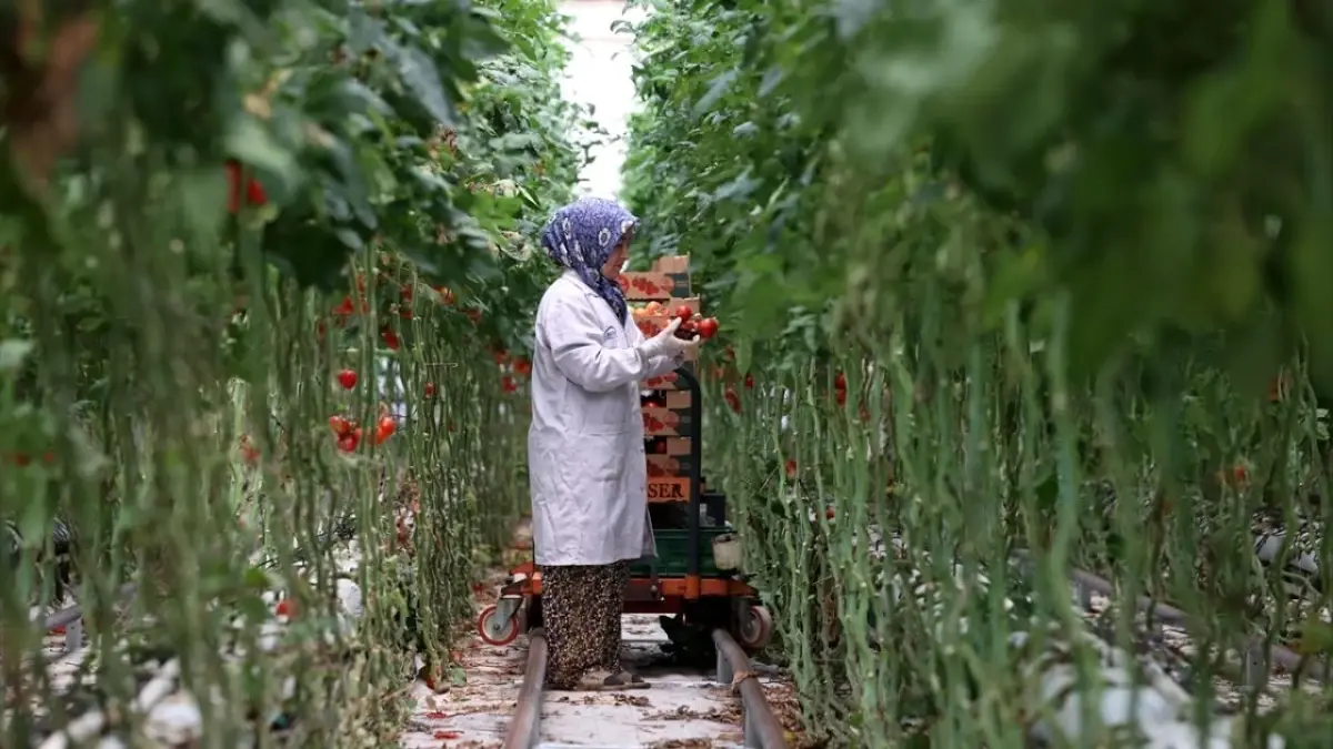 Jeotermal, 2025'te yatırım uykusundan uyandı