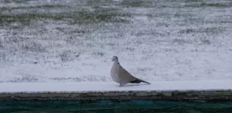 Kayseri'de kar yağışı etkili oldu
