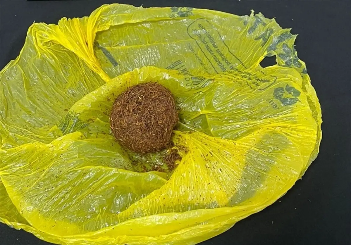 Kırşehir'de uyuşturucu operasyonlarında 4 zanlı yakalandı