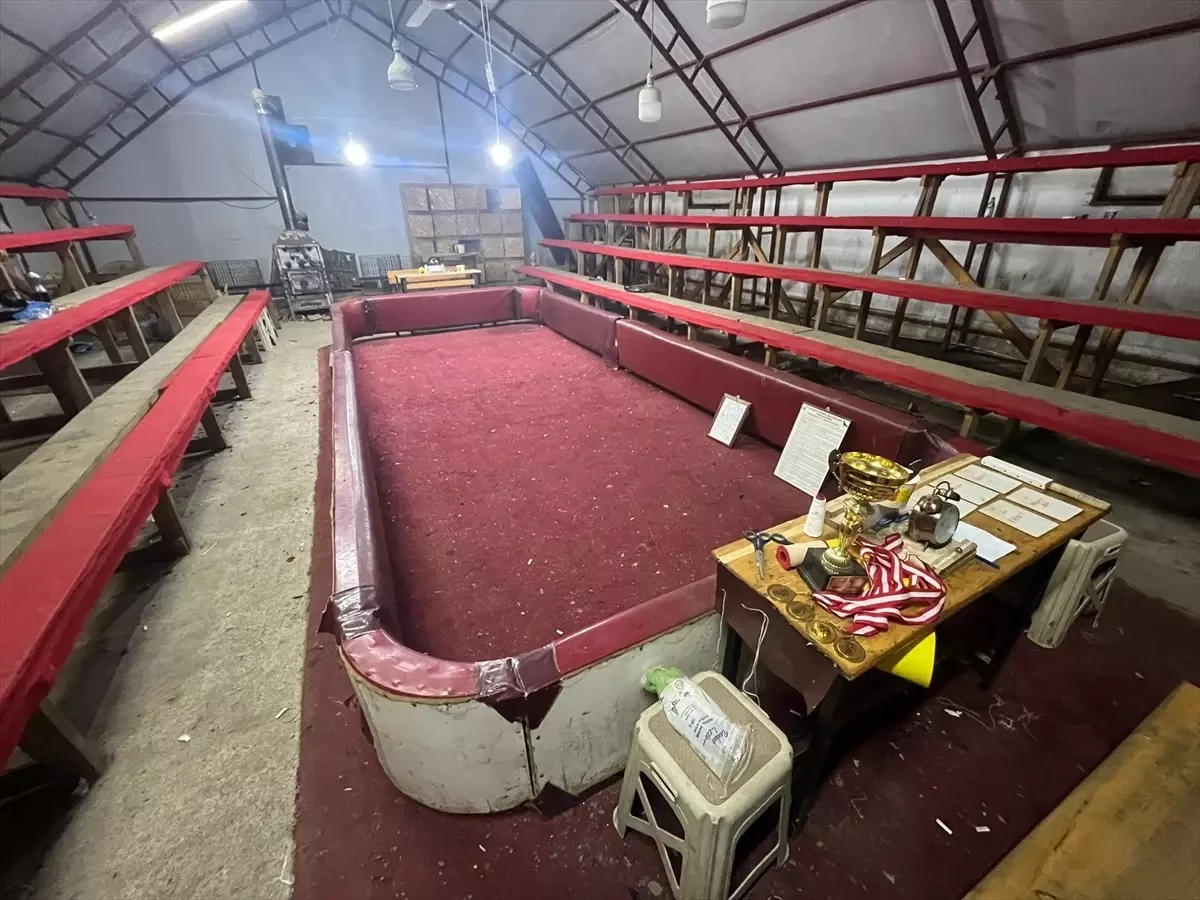 Sakarya'da horoz dövüştüren 34 kişiye 100 bin 402 lira ceza uygulandı