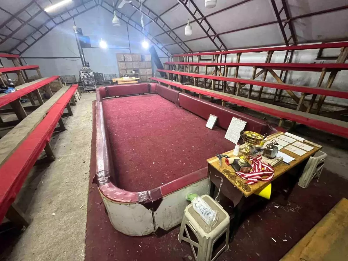 Sakarya'da horoz dövüşü operasyonu