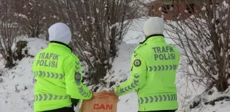 Sivas'ta trafik polisleri yaban hayvanlarını unutmadı