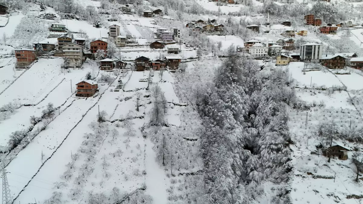 Trabzon'da Kar Yağışı Sonrası Beyaz Örtüyle Kaplandı