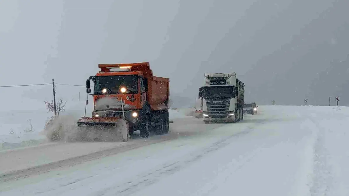 Van'da 266 yerleşim yerinin yolu kapalı