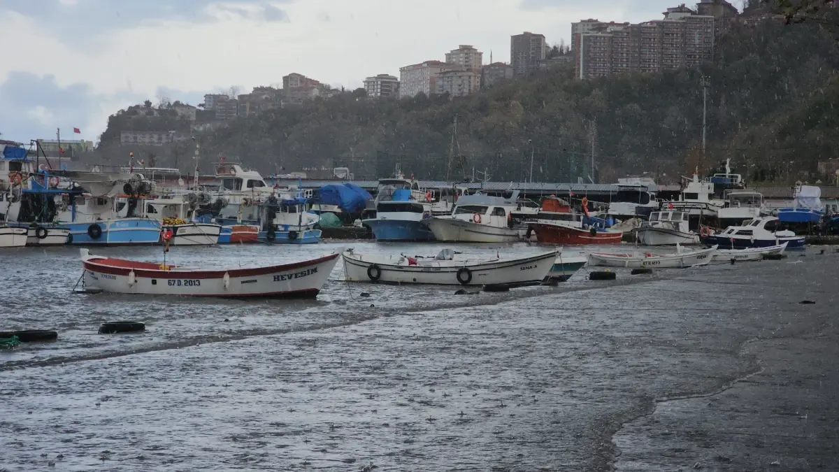 Zonguldak'ta deniz taştı, kardan 81 köy yolu kapandı