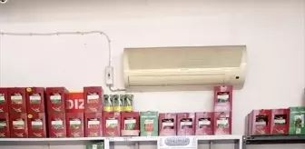 19 Mayıs ilçesinde bayilerde tohumluk denetimi yapıldı