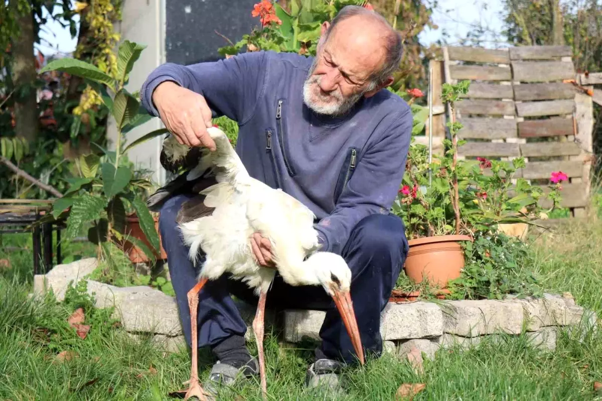 Annesinin yuvadan attığı leyleğe, mahalleli anne ve baba oldu