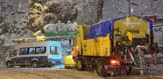 Artvin'de kar yağışı etkili oldu