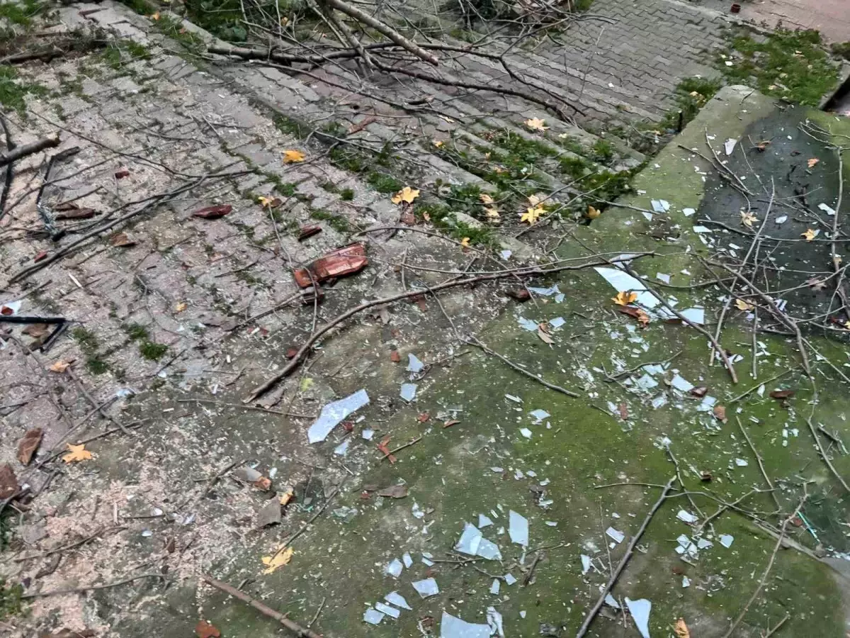 Beyoğlu'nda ağacın kırılan dalları binanın üzerine düştü