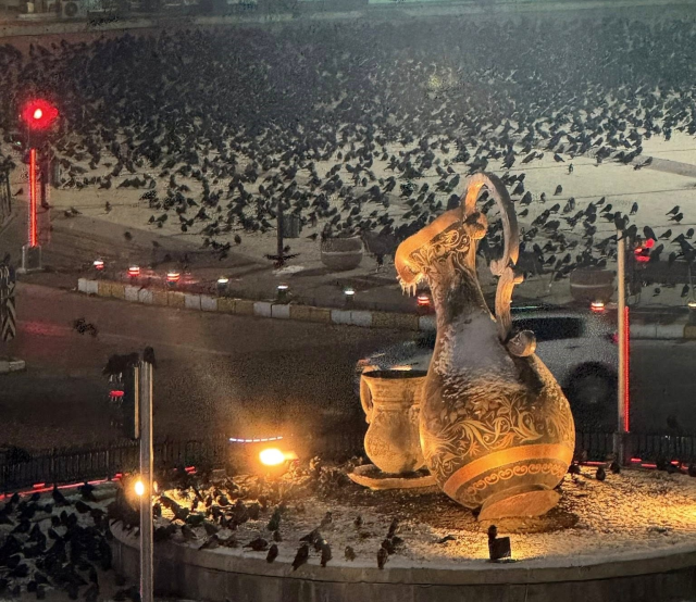 erzincan da kargalar sokaklari sardi 19408119 8529 m