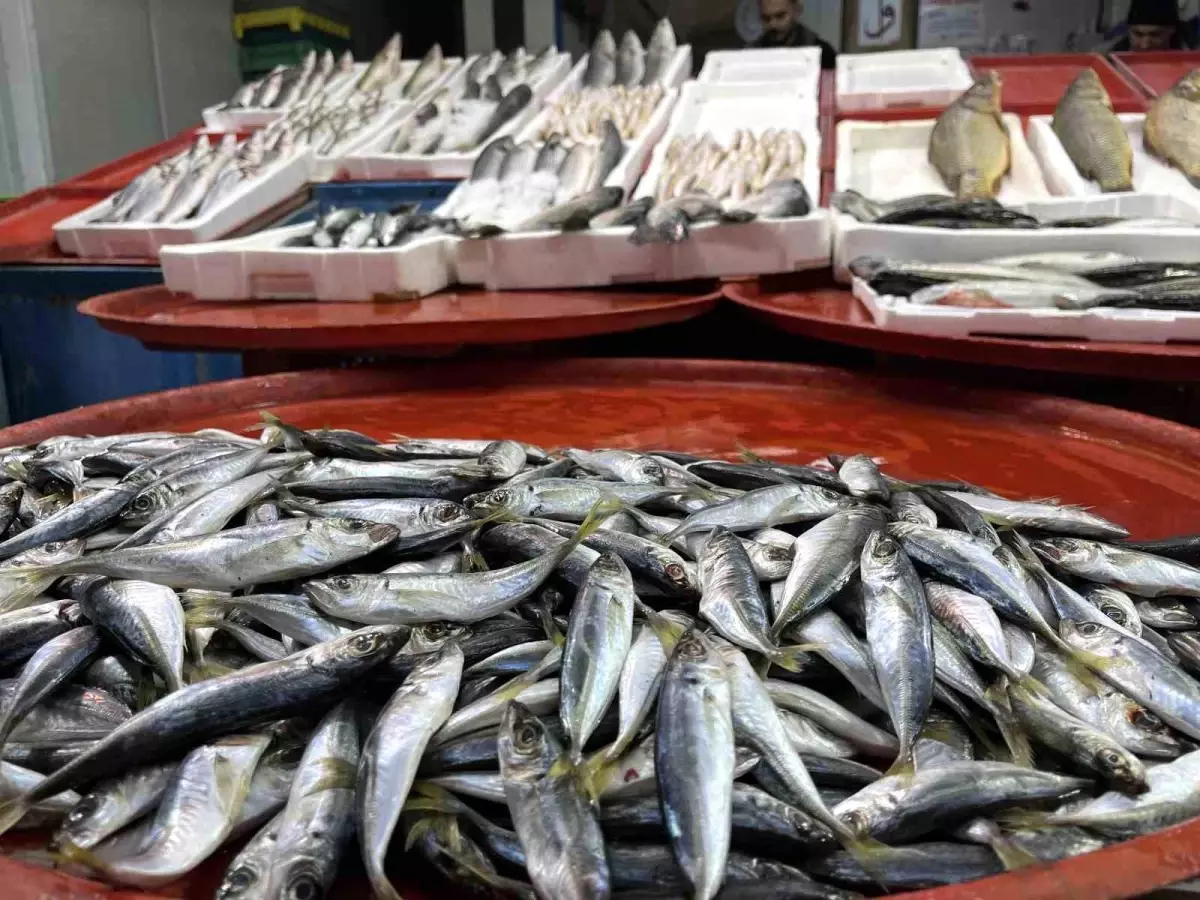 Geciken kış Konya'da balığı da vurdu