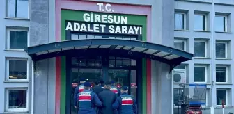 Giresun'da uyuşturucu operasyonunda yakalanan 2 şüpheli tutuklandı
