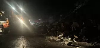 Heyelan nedeniyle kapanan Artvin-Hopa kara yolu ulaşıma açıldı