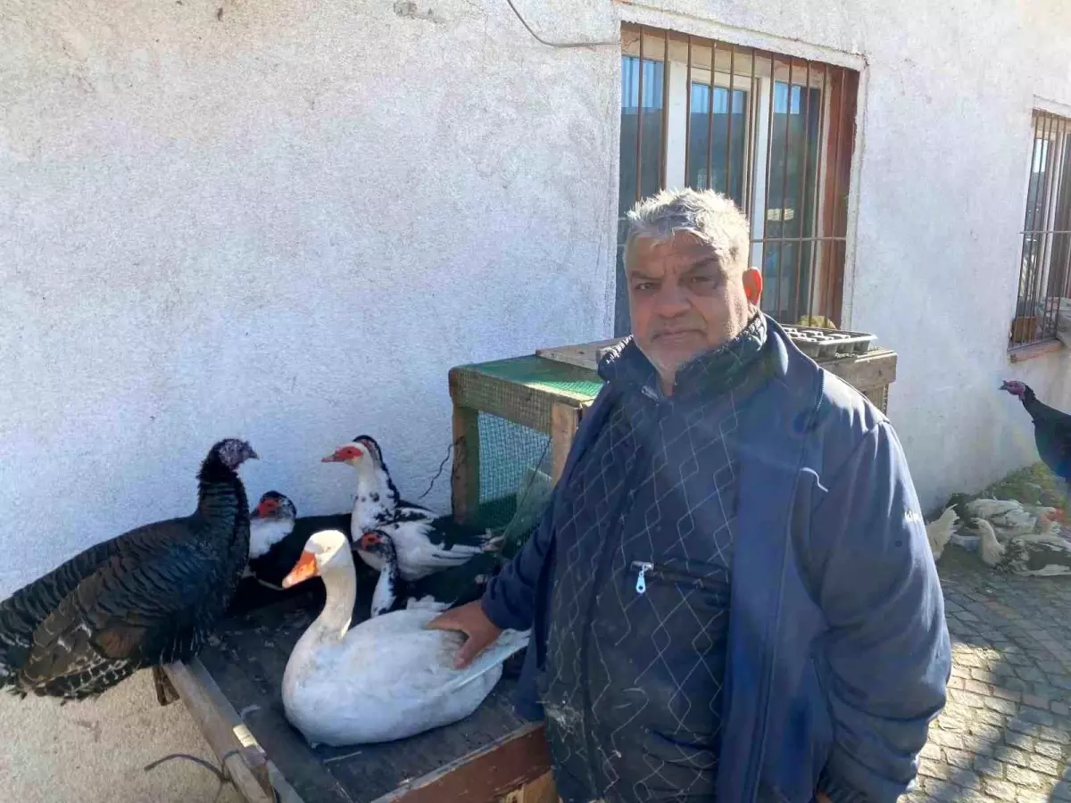 Hindi var, kaz var alıcı yok: Tezgâhlarda durgunluk