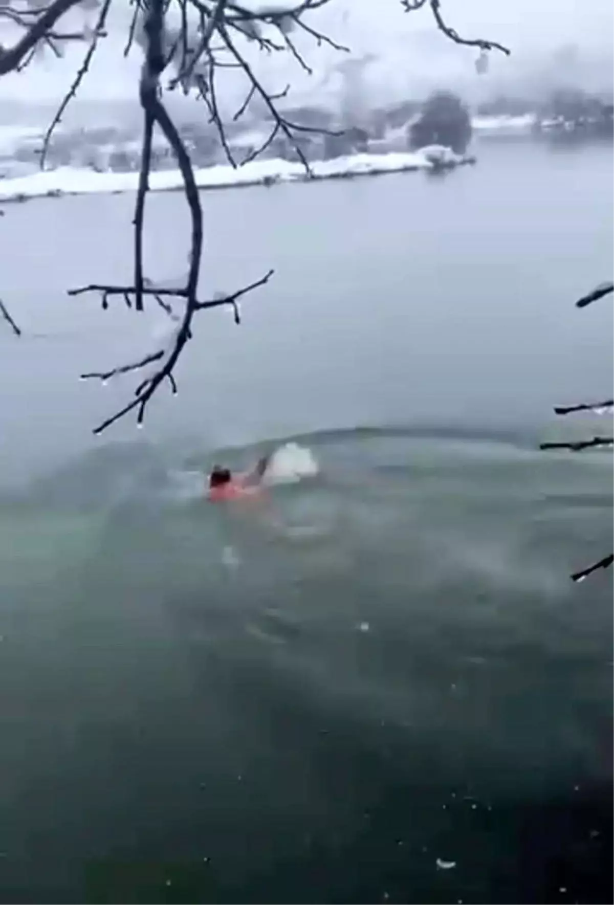 Karlı havada Dicle Nehri'ne daldı