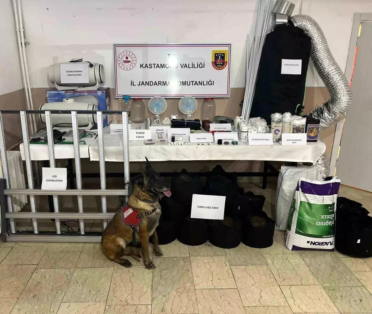 Kastamonu'da uyuşturucu operasyonu: 6 gözaltı