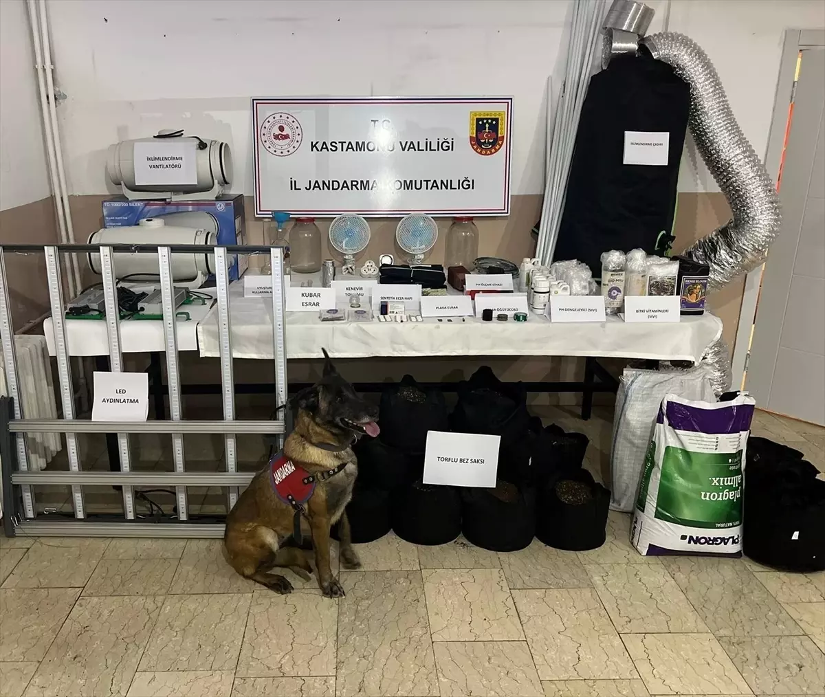 Kastamonu'da uyuşturucu operasyonunda 6 zanlı yakalandı