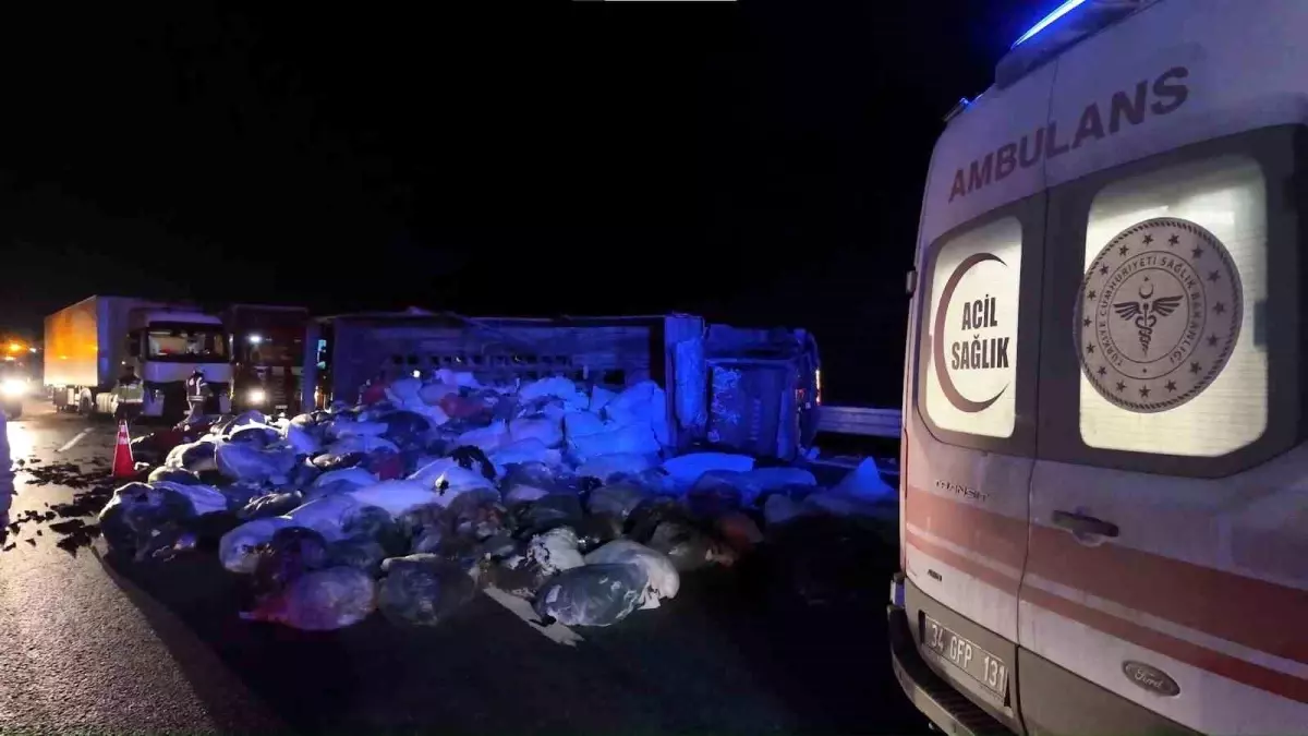 Kuzey Marmara Otoyolu'nda kamyonet devrildi: 2 yaralı