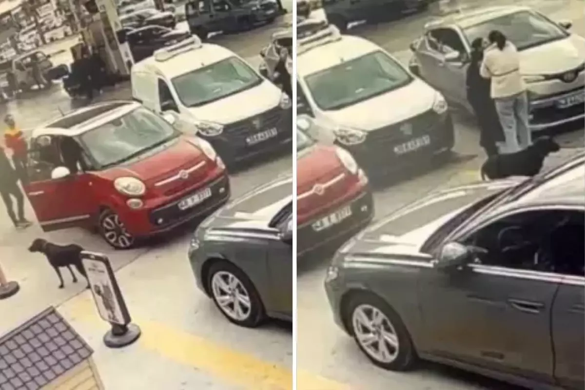 Maddi hasarlı kazanın kavgası büyük oldu