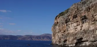 Mersin'de kayalıklarda mahsur kalan keçi kurtarıldı