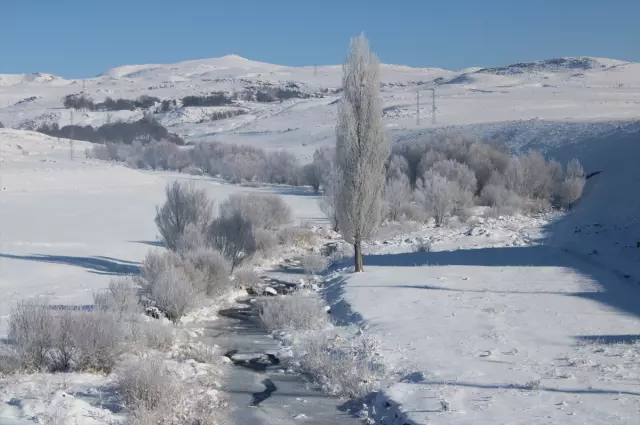 Saçlar, kirpikler, çamaşırlar dakikalar içinde donuyor! Sibirya soğukları birçok ilde hayatı durma noktasına getirdi 3 sibirya soguklari bircok ilde hayati durma 19405971 6908 m