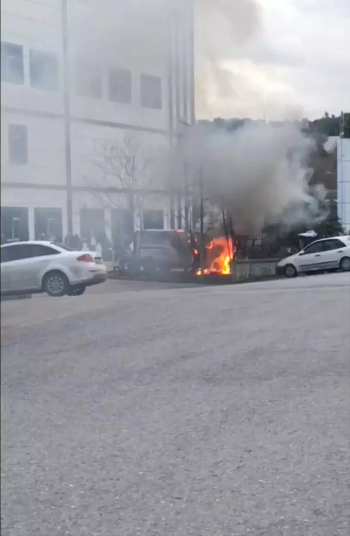 Şile'de seyir halindeki araç alev aldı