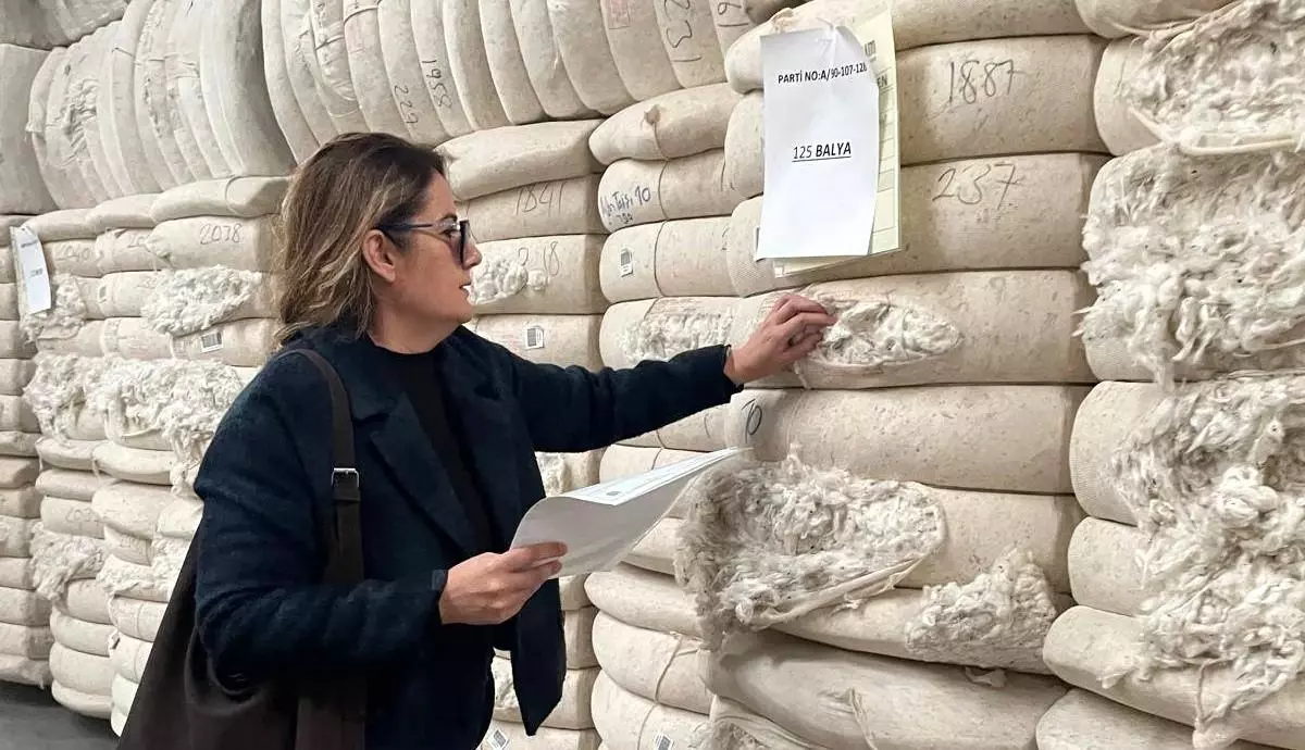 Söke'den yurt dışına gidecek ham pamuklar denetlendi
