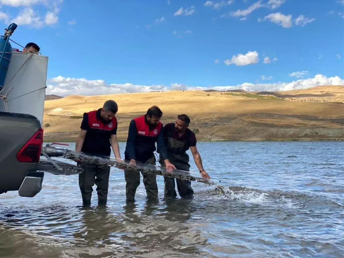 Türkiye nüfusu kadar balık deniz ve göllere bırakıldı