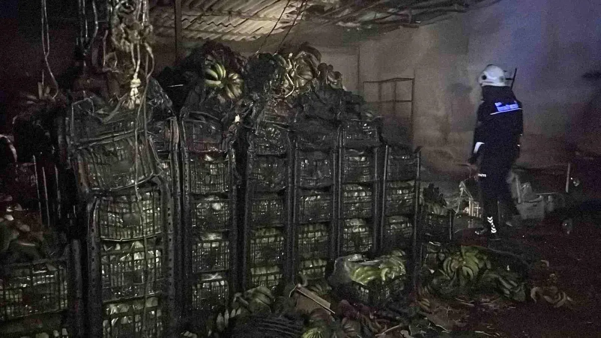 Alanya'da muz sarartma tesisinde yangın: Tonlarca muz zarar gördü