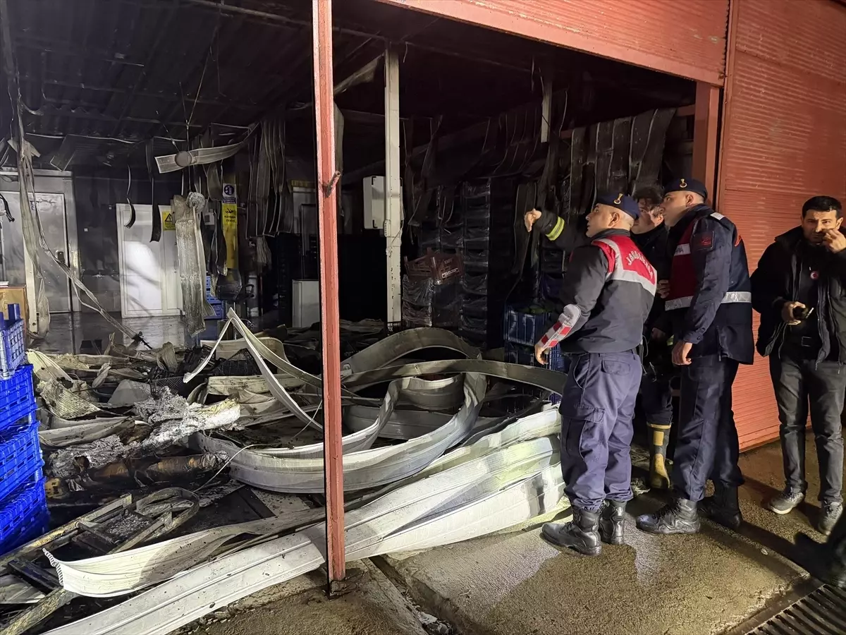 Antalya'da muz sarartma tesisinde çıkan yangın hasara yol açtı