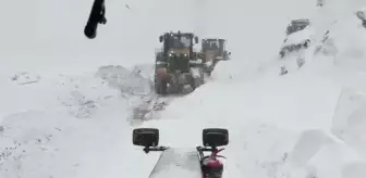 Artvin'de çığ düştü: 3 çoban çığ altında kaldı