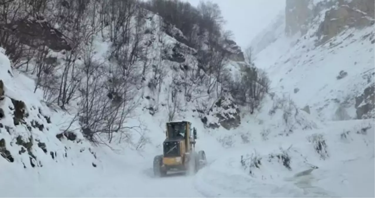 Artvin'de çığ düştü SON DAKİKA! Artvin'de meydana gelen çığ düşmesinde ölü ya da yaralı var mı?