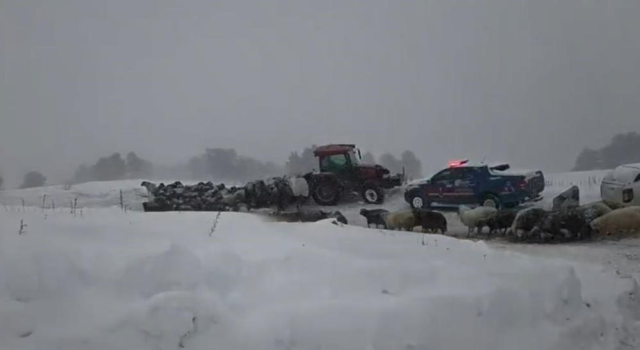 artvin deki cig felaketinden aci haber geldi 19412747 7107 m