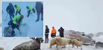Artvin'deki çığ felaketinden acı haber geldi