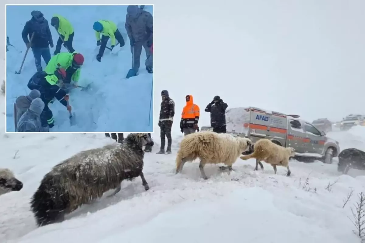 Artvin'deki çığ felaketinden acı haber geldi