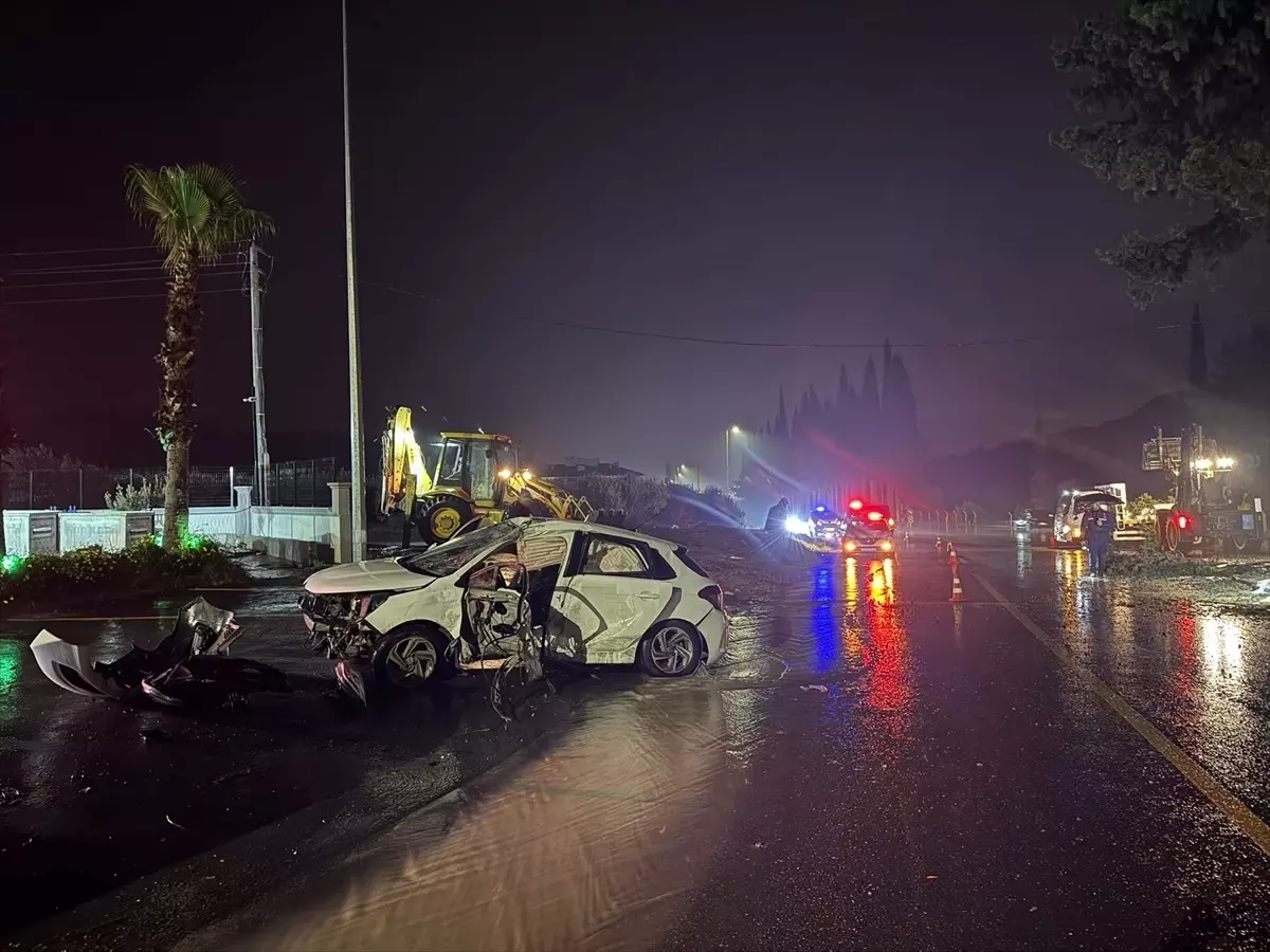 Aydın'da refüjdeki ağaca çarpan otomobilin sürücüsü hayatını kaybetti