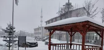 Başçiftlik'te kar yağışı etkili oldu