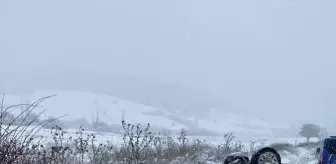 Bilecik'te devrilen otomobilin sürücüsü yaralandı