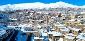 Bitlis'te tarihi yapılar karla kaplandı