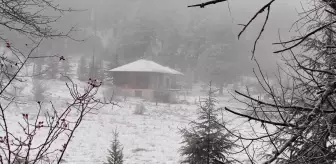 Demirci'de yaylalar beyaza büründü