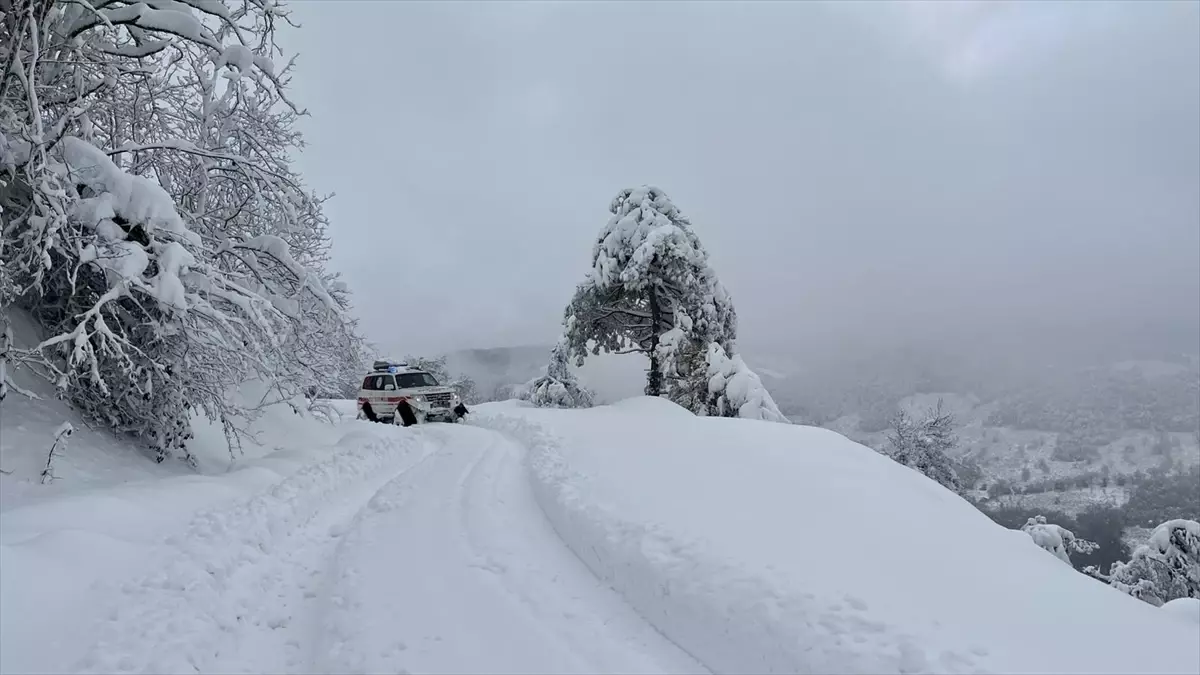Düzce'de köyde rahatsızlanan yaşlı hastaya, yoğun kar nedeniyle paletli ambulansla ulaşıldı