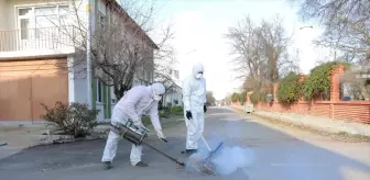 Edirne Belediyesi haşereyle mücadele çalışmalarını sürdürüyor