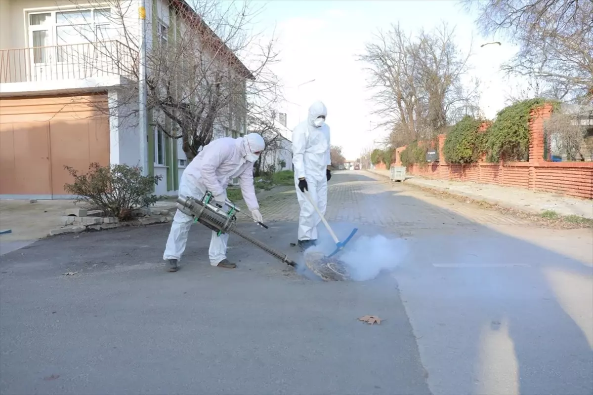 Edirne Belediyesi haşereyle mücadele çalışmalarını sürdürüyor