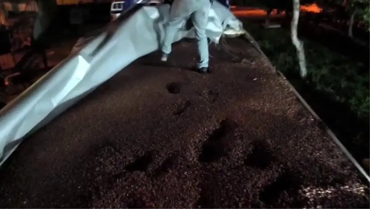 Fındıkla kamufle edilen tırdan 30 milyonluk kaçak makaron çıktı: 4 gözaltı